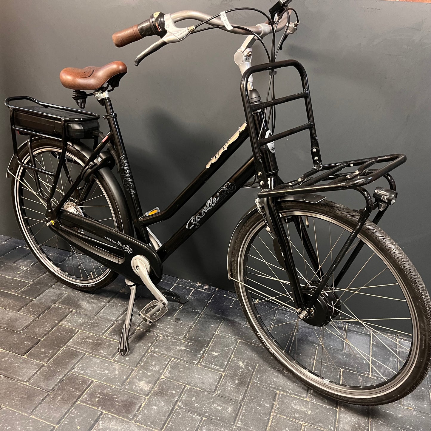 Gazelle Miss Grace Panasonnic