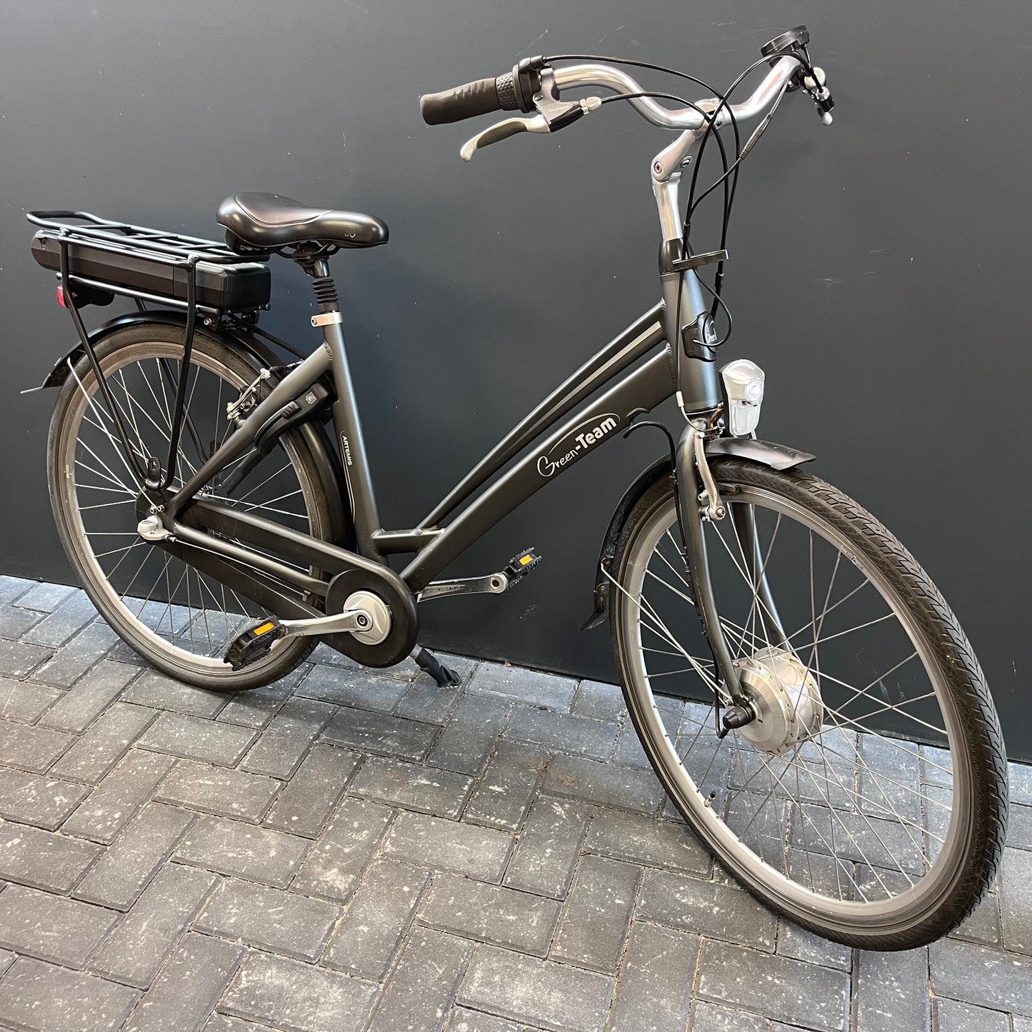 Green Team E-Bike