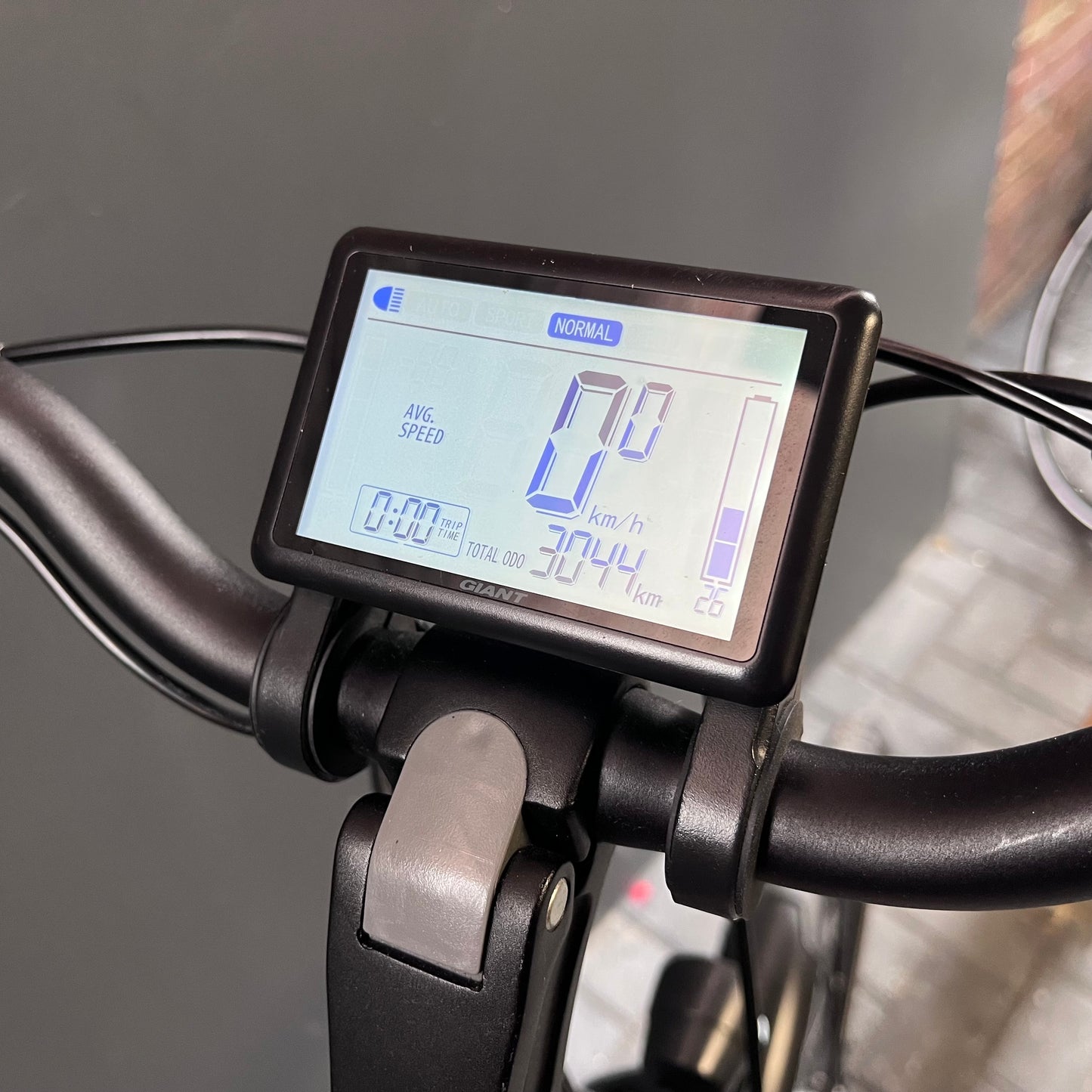 Giant Ease E+