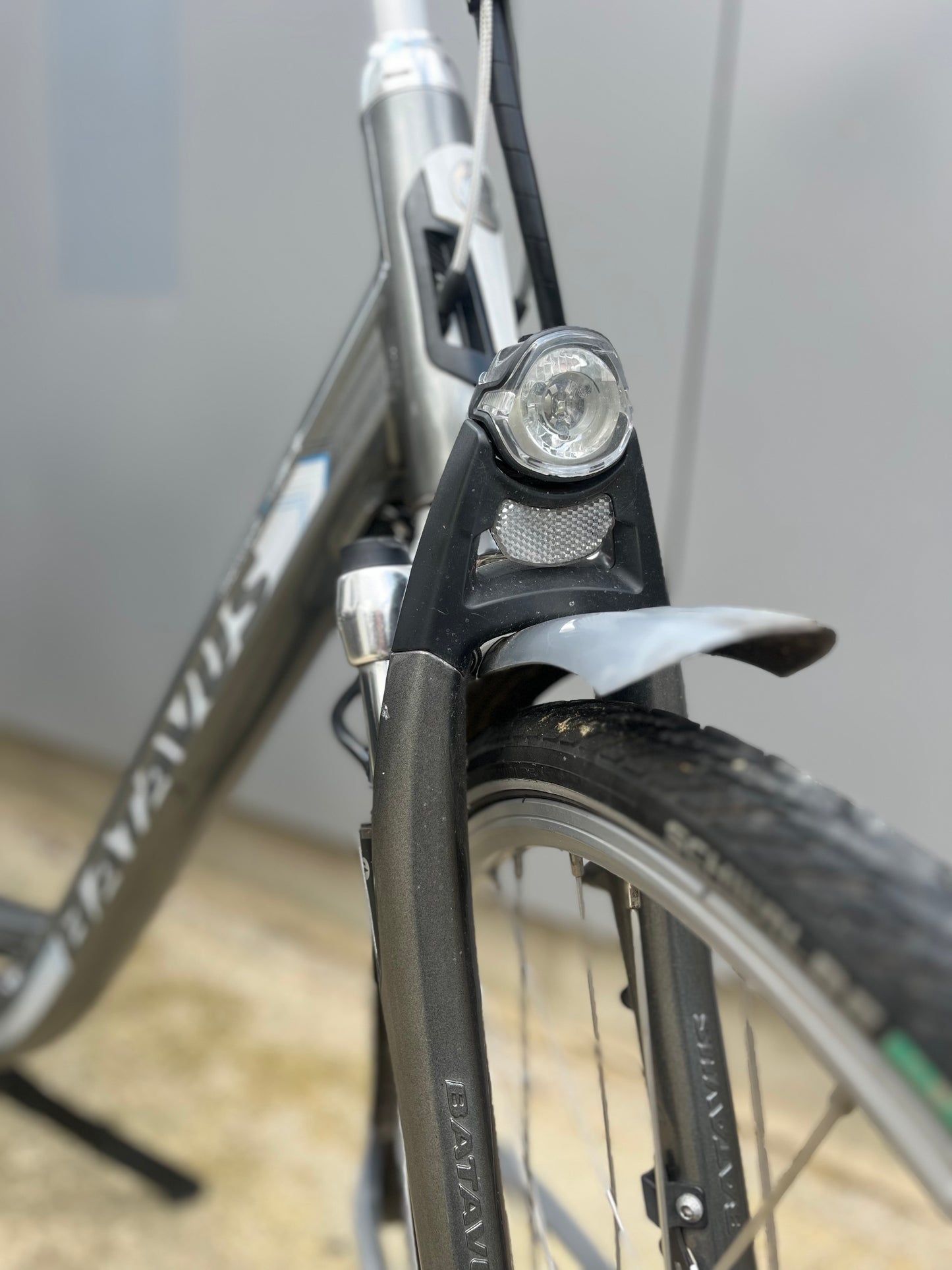 Batavus Monaco e-Go