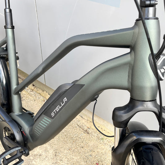 Stella Morena model 2022 Bosch performance