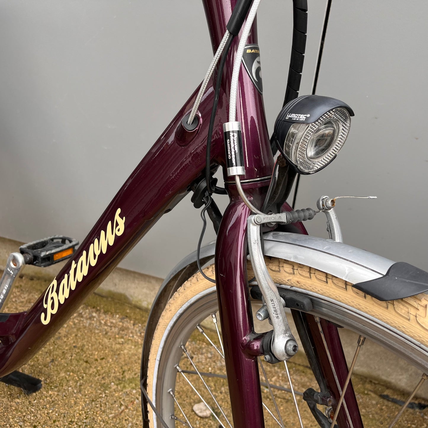 Batavus Forino e-go