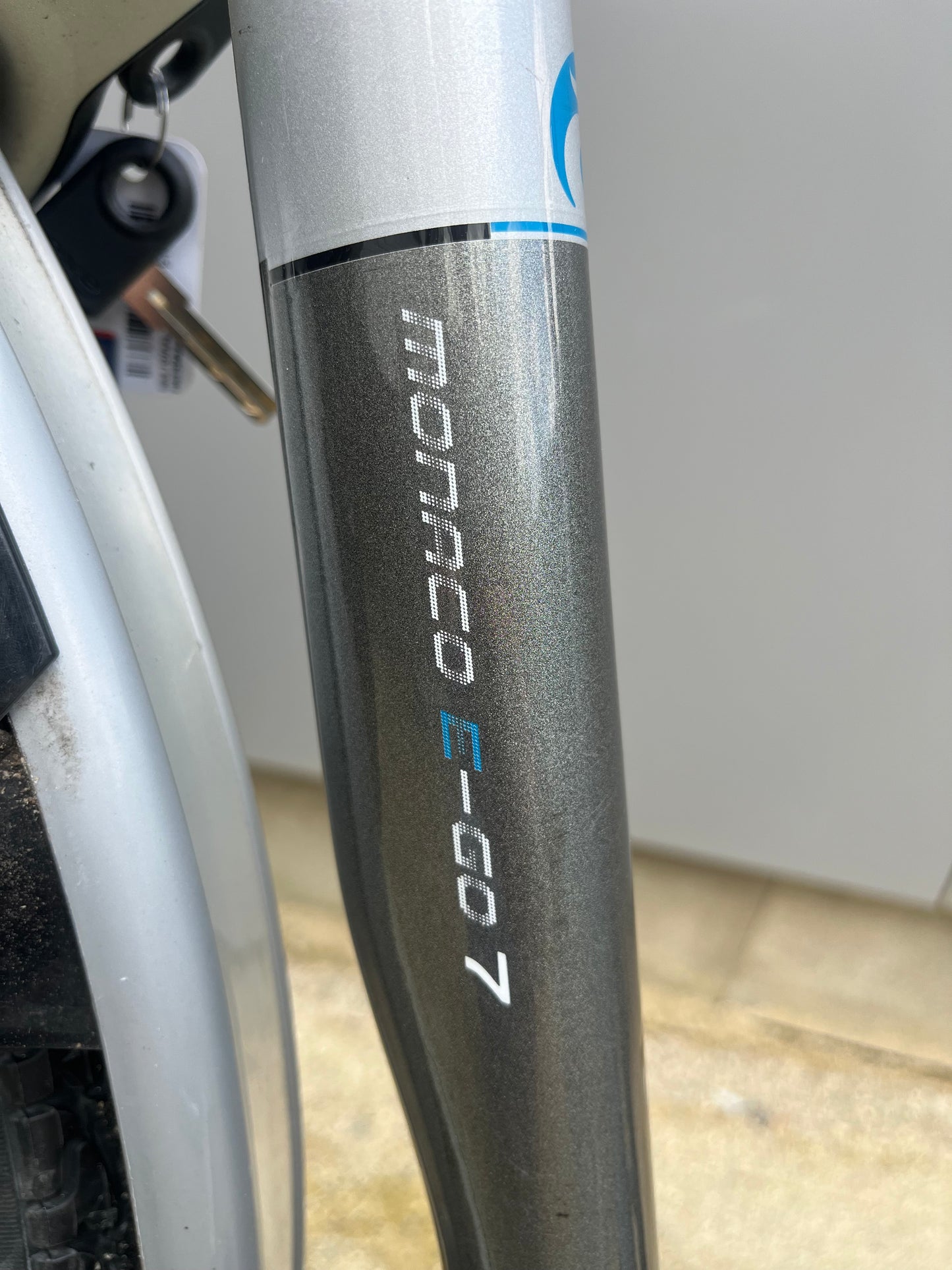 Batavus Monaco e-Go