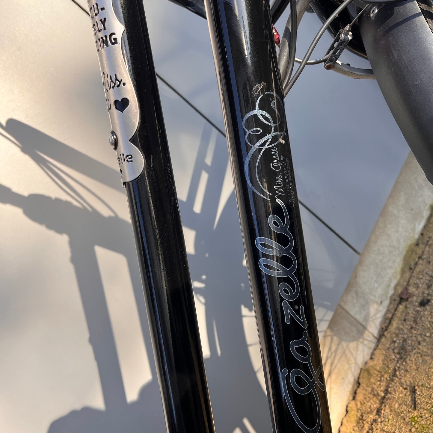 Gazelle Miss Grace Panasonnic