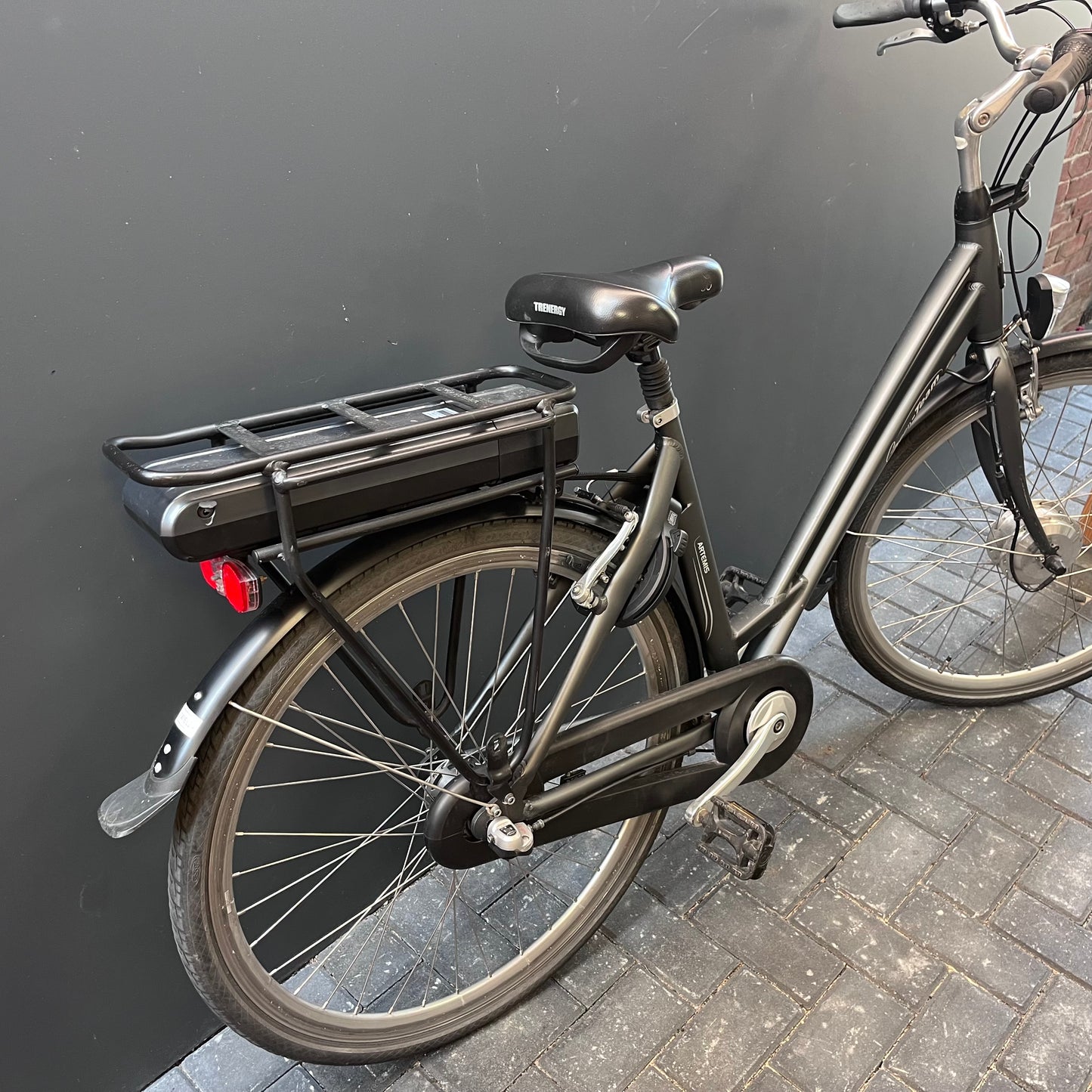 Green Team E-Bike