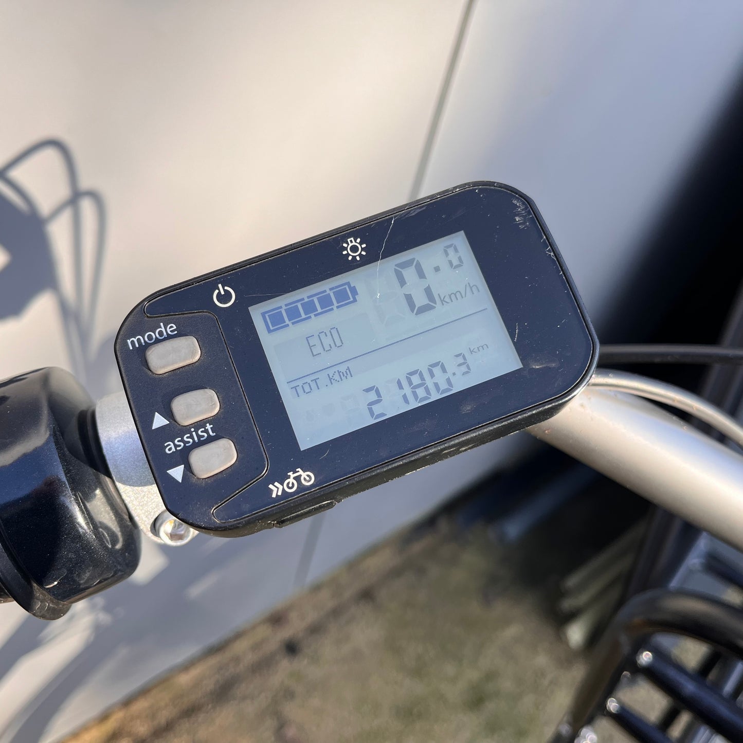 Gazelle Miss Grace Panasonnic