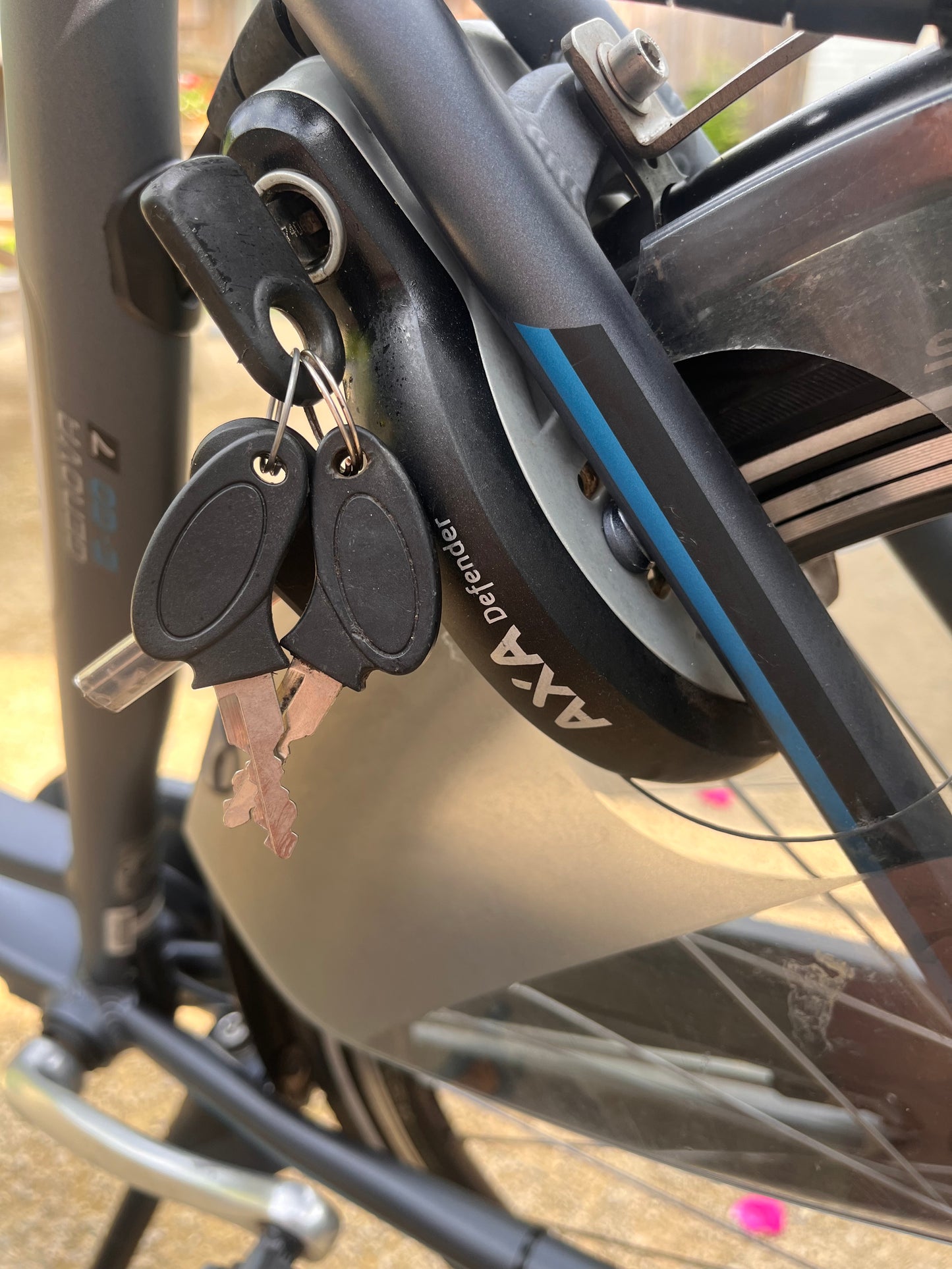 Batavus Genova e-go
