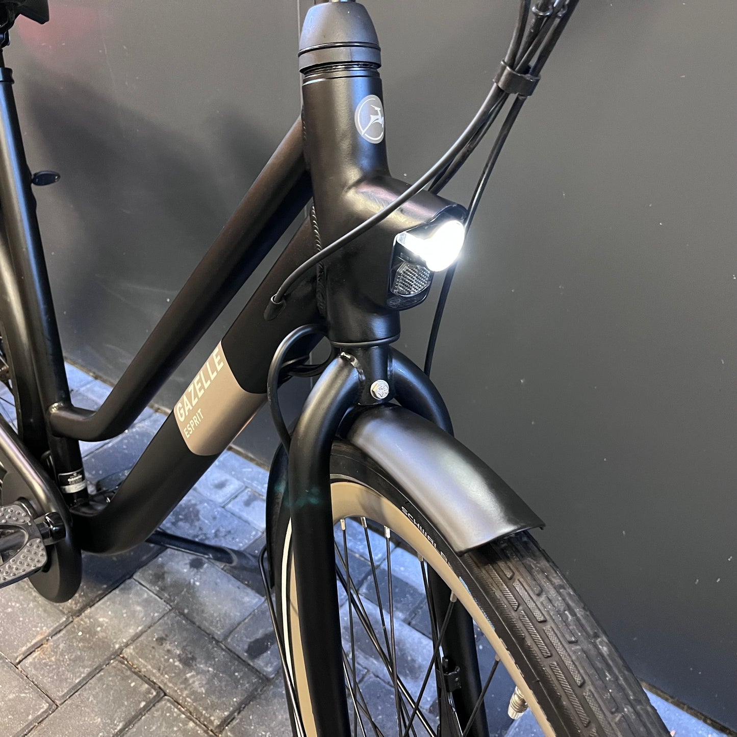 Gazelle Esprit elektrische fiets