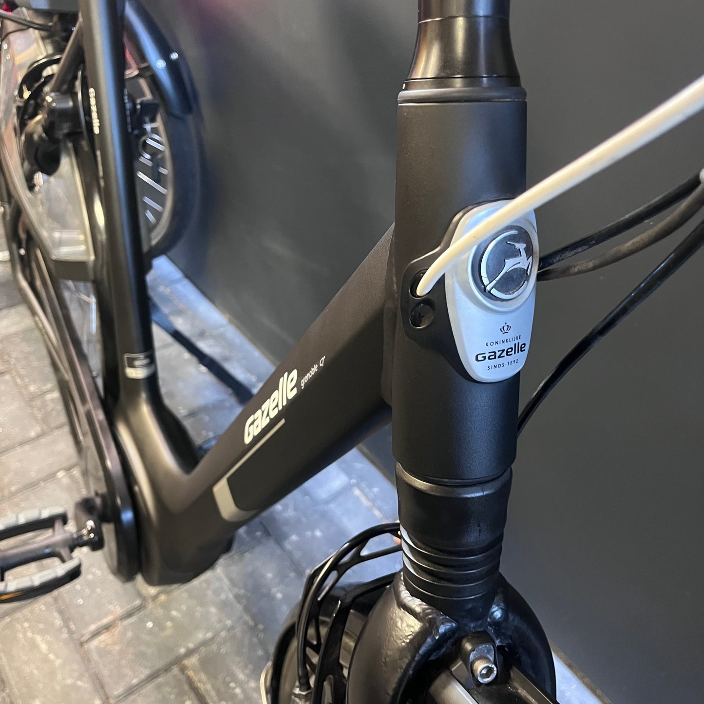 Mooie Gazelle Grenoble C7 Bosch