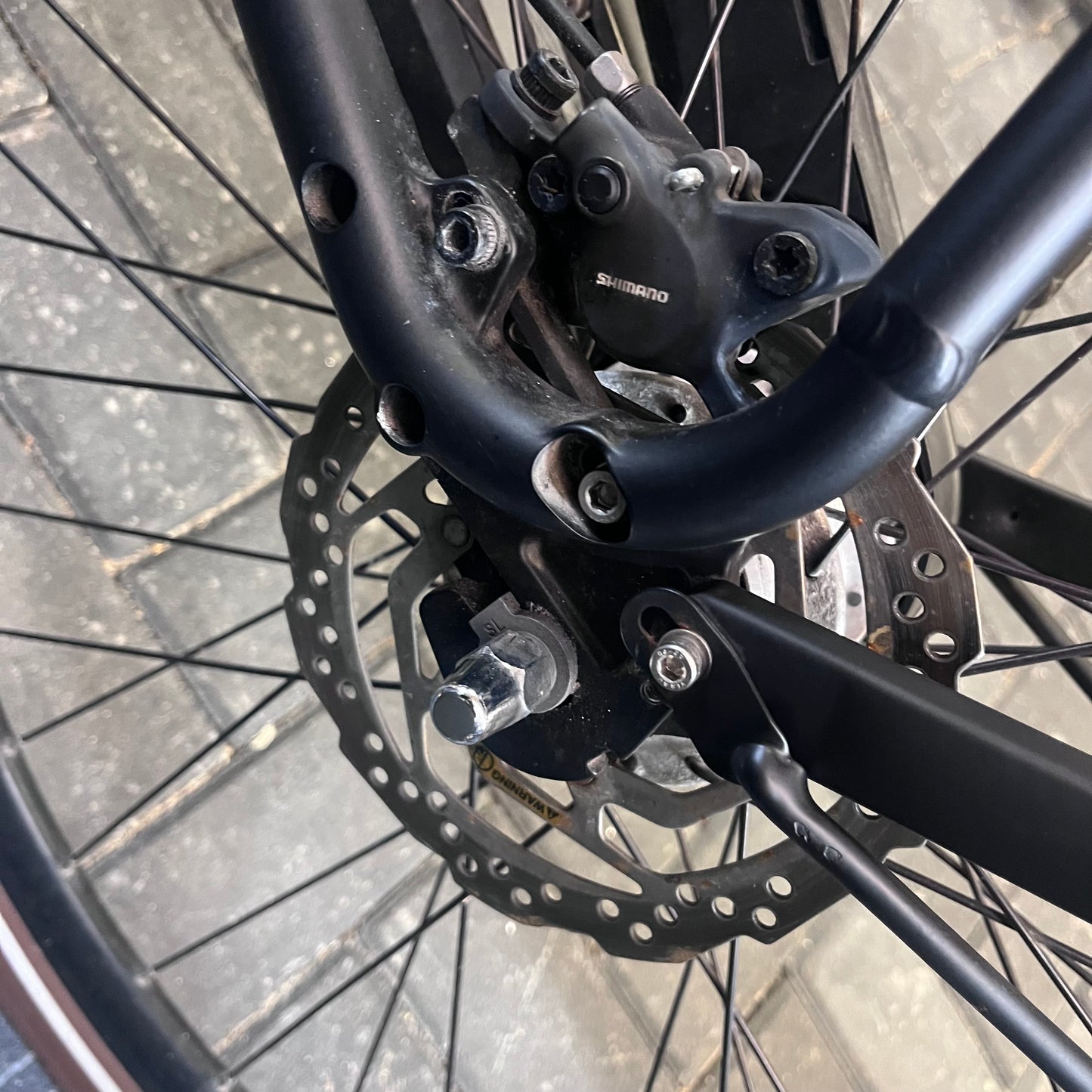 Stella Dolce Elektrische fiets!