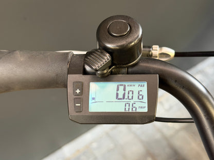 Bikkel Cidade elektrische demofiets  2025