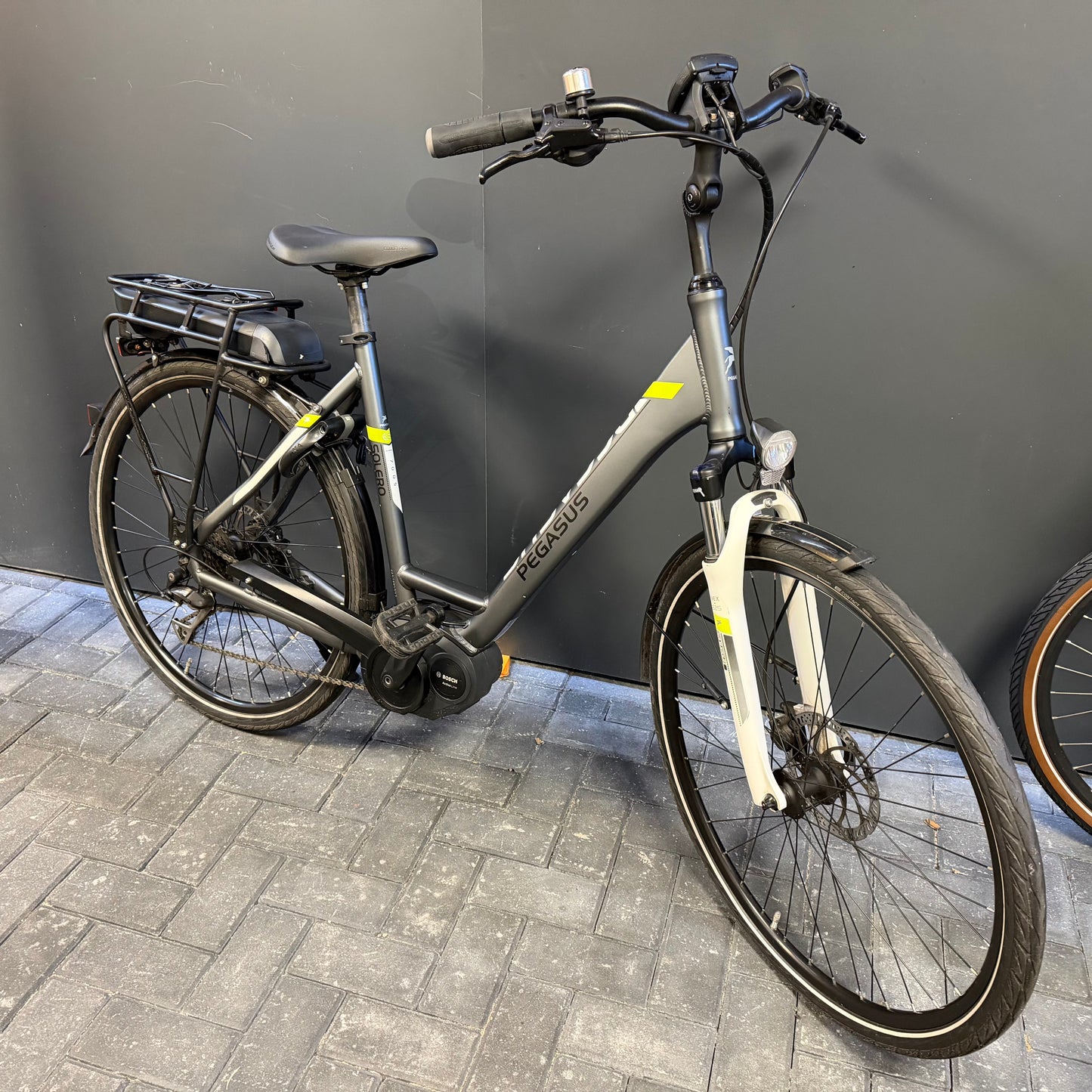 Pegasus E-Bike + Bosch motor