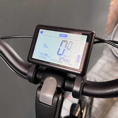 Giant Ease E+