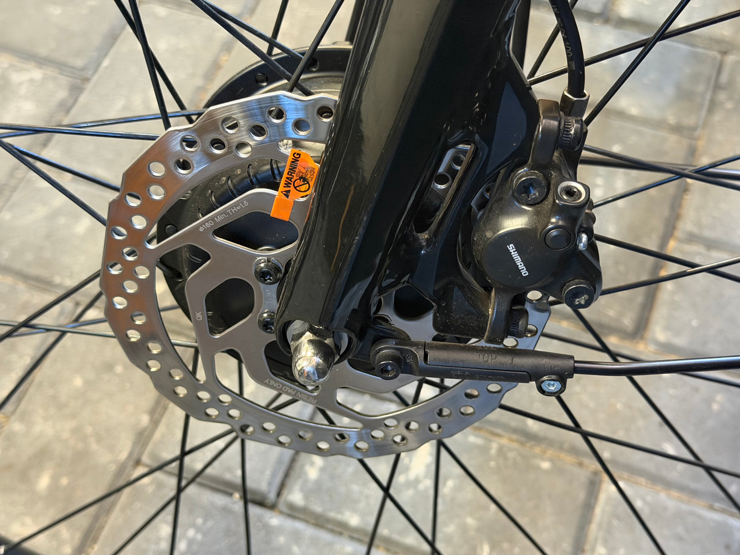 Stella Muto + Belt drive