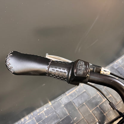 Lugando ELO Tour Dutch e-Bike