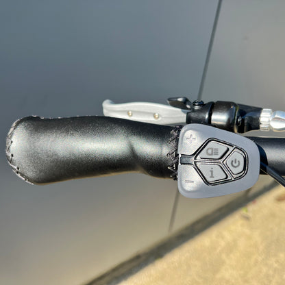 E-energy lazzise met krachtige Bafang motor