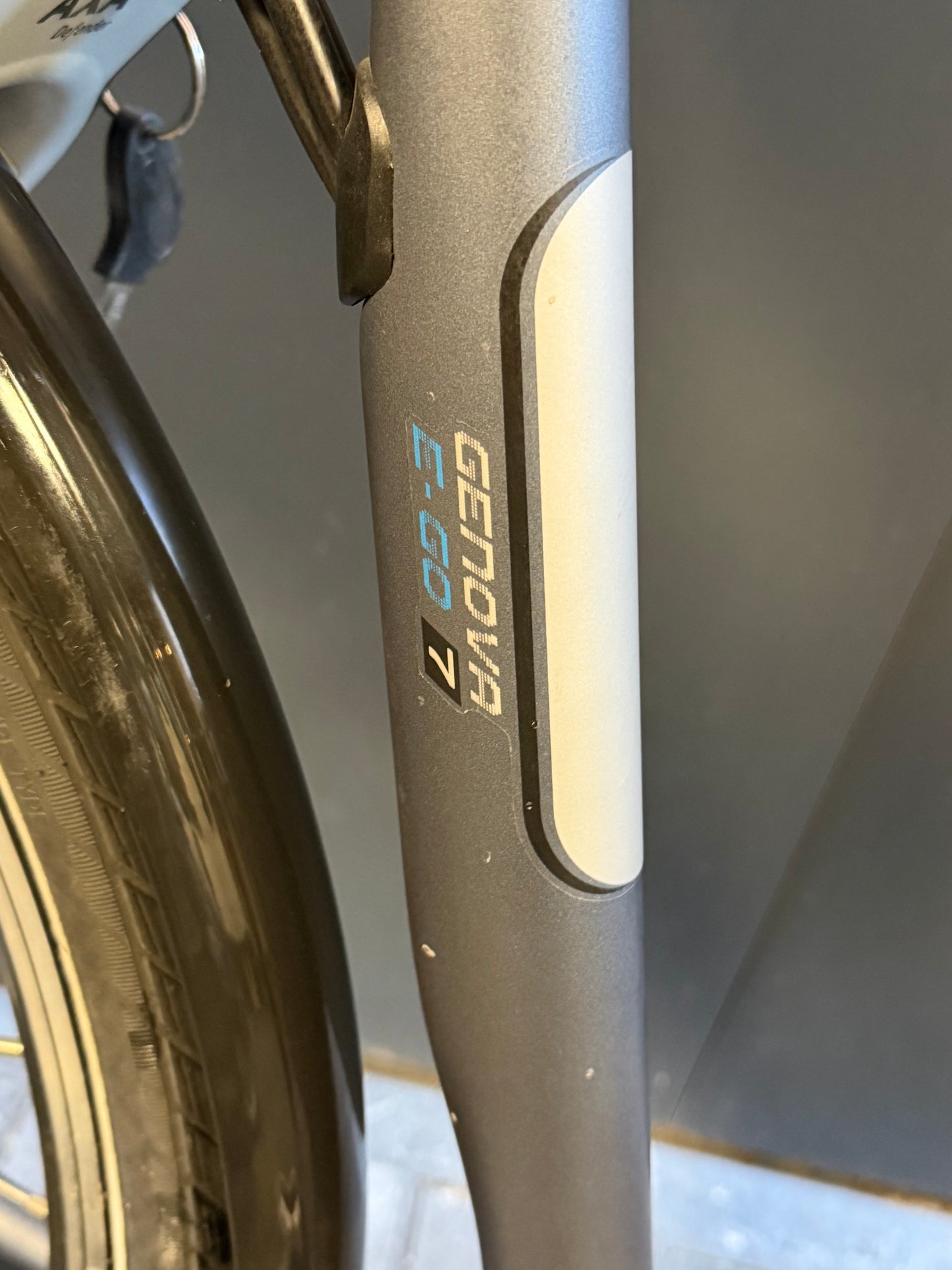 Batavus Genova E-Go 7 | accu nieuw!