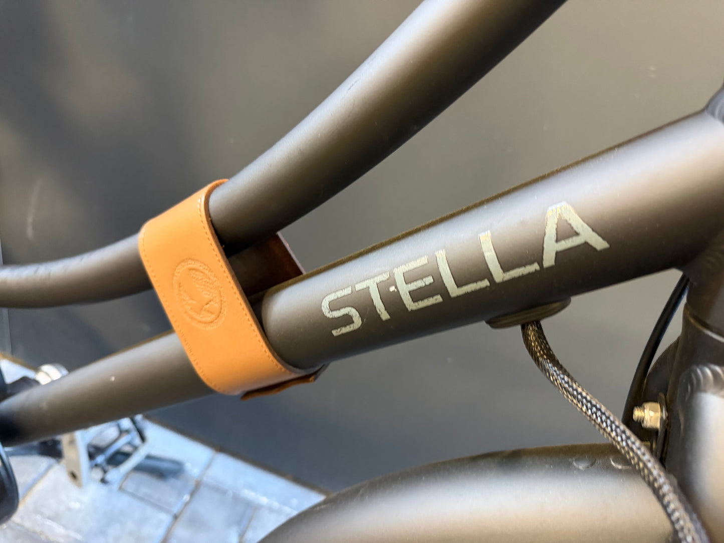 Stella Dolce 2024!
