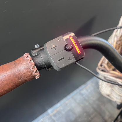 Stella Dolce Elektrische fiets!