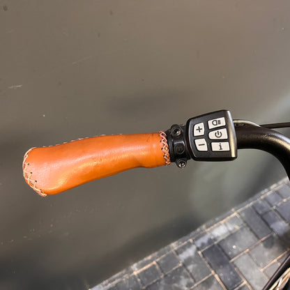Van Dijck Limided + Bafang middenmotor