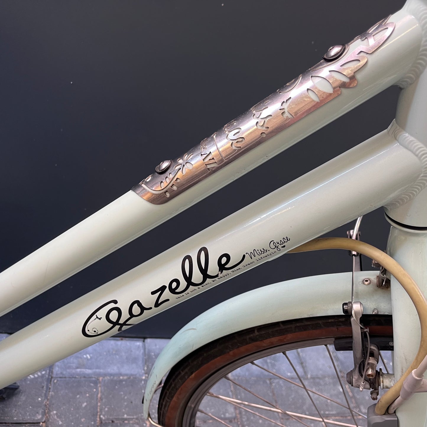 Gazelle Miss Grace