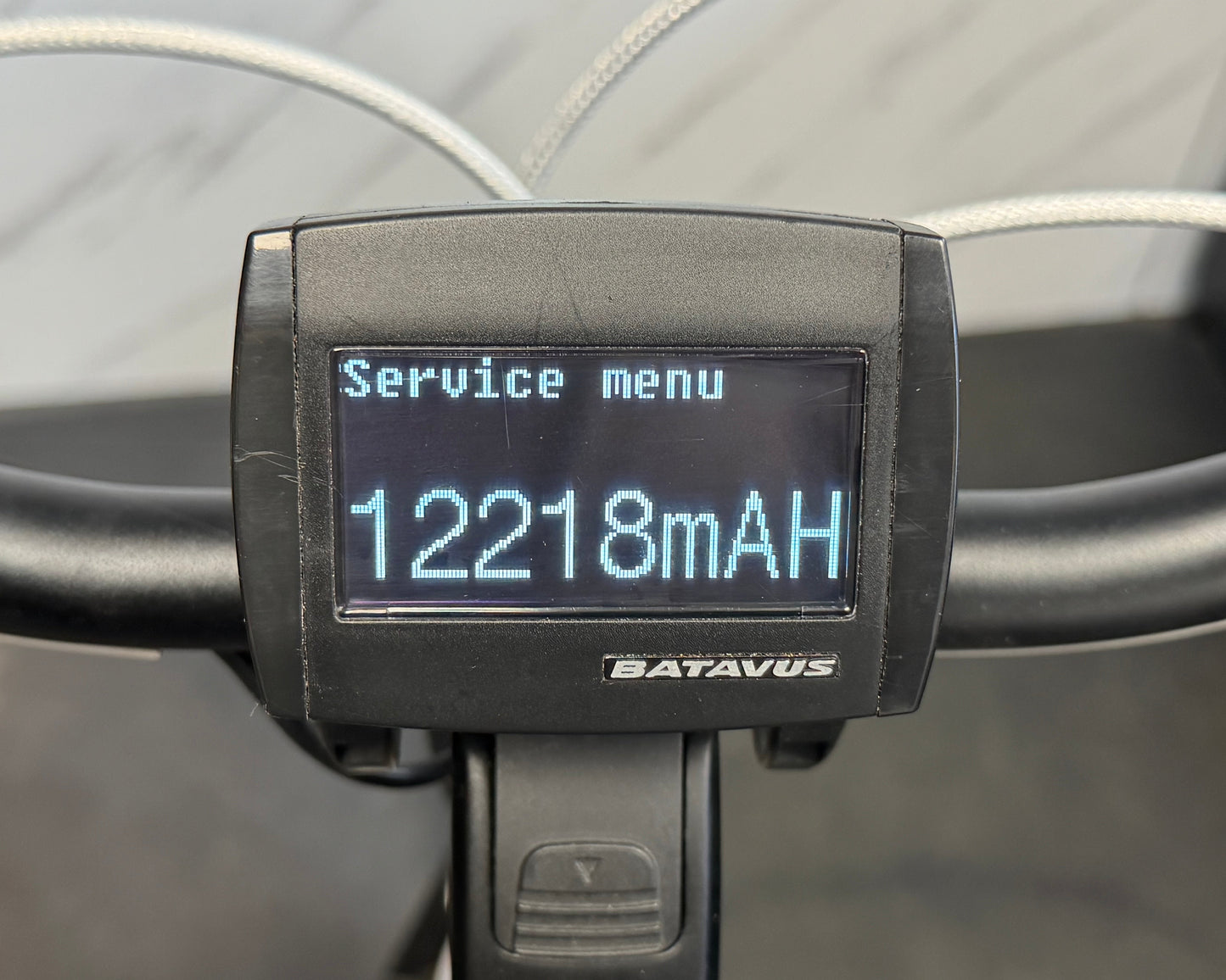 Batavus Monaco E-Go