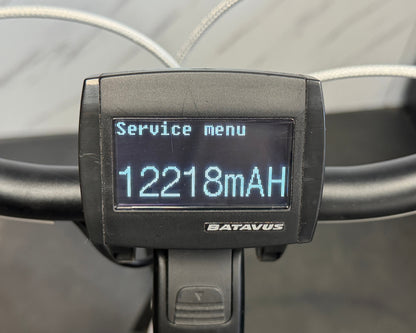 Batavus Monaco E-Go