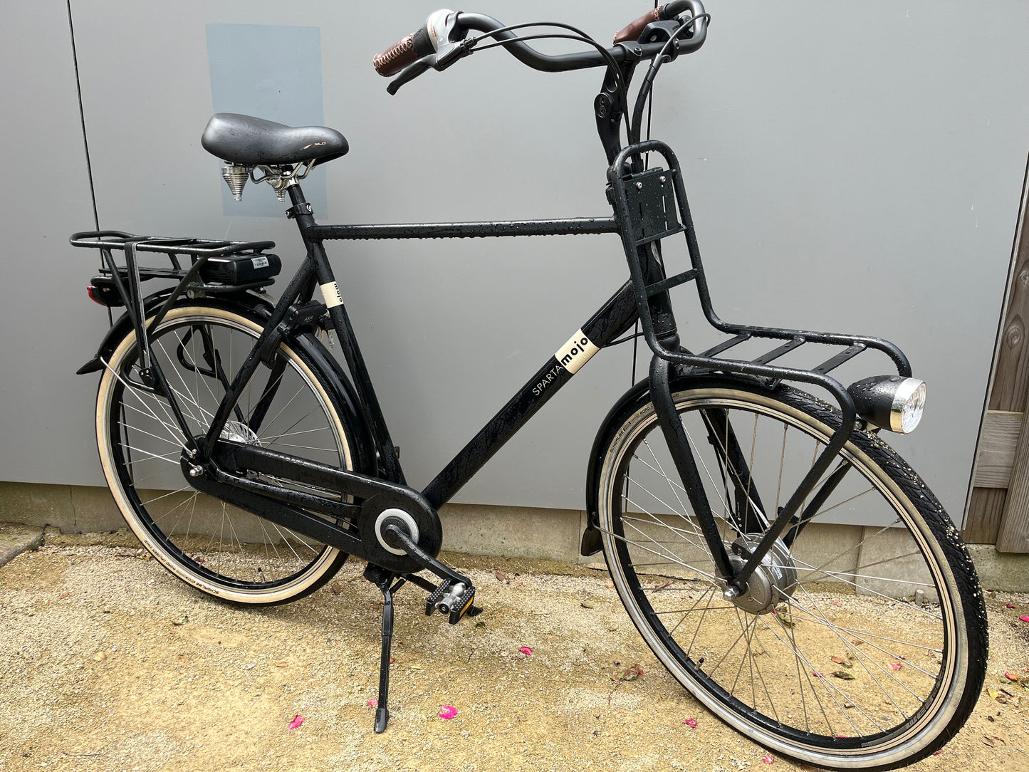 Sparta MoJo 65cm !