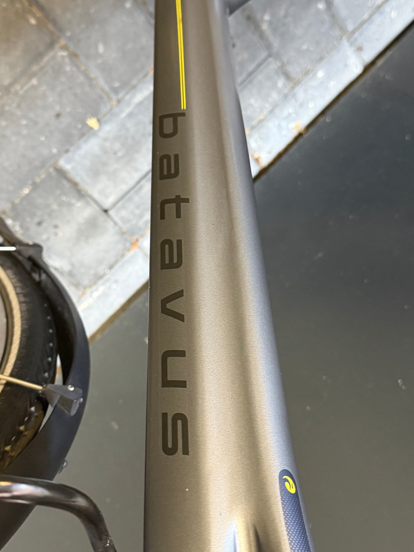 Batavus Monaco E-Go