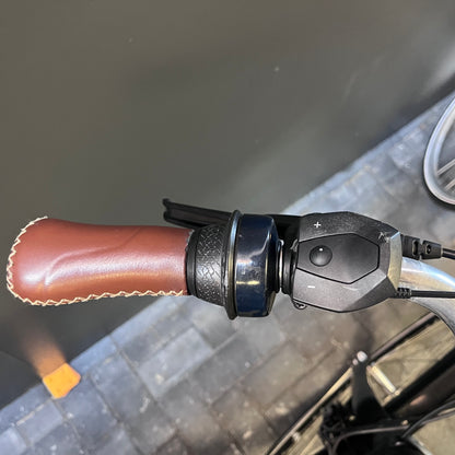 Mooie Gazelle Grenoble C7 Bosch