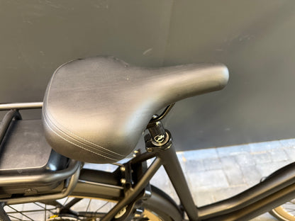 Gazelle Esprit 450 watt ! Mat zwart