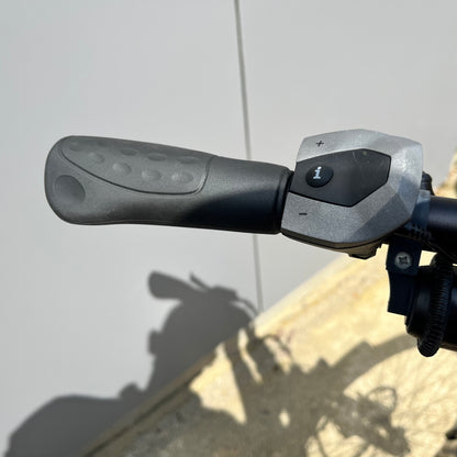 Sinus Met Bosch active line middenmotor