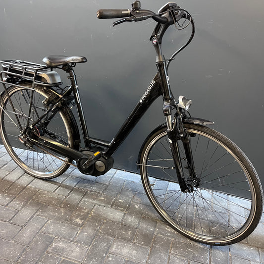 Pegasus Bosch + Automaat versnelling