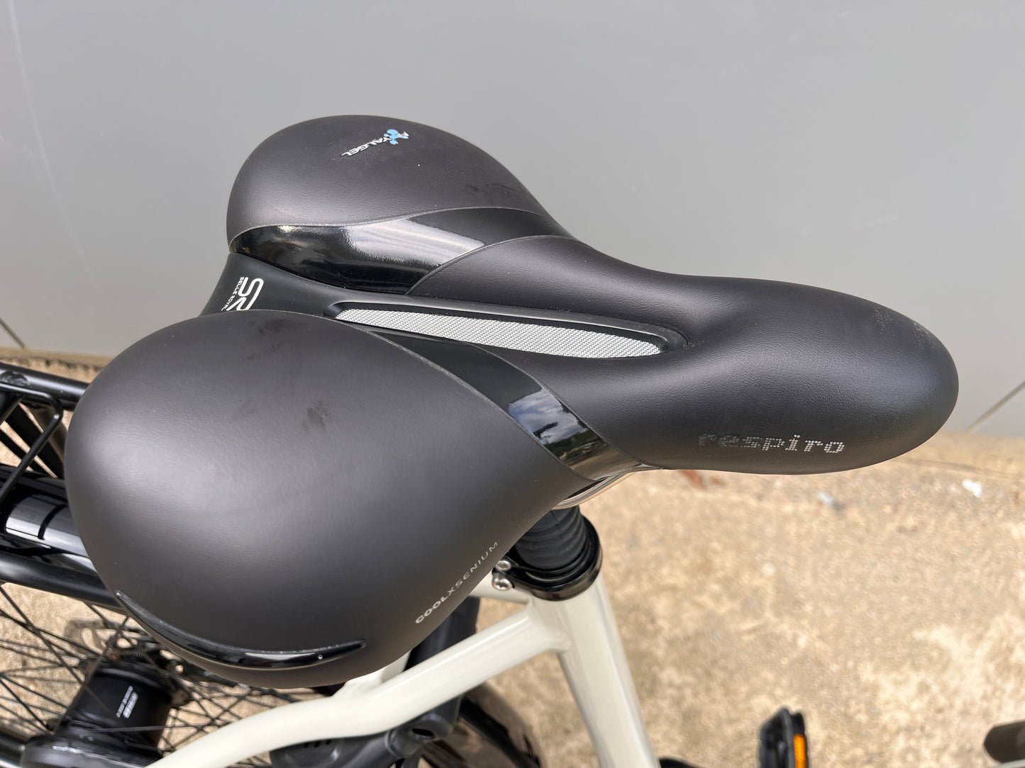 Stella livorno MDB Bosch, Nieuwstraat 1099km !