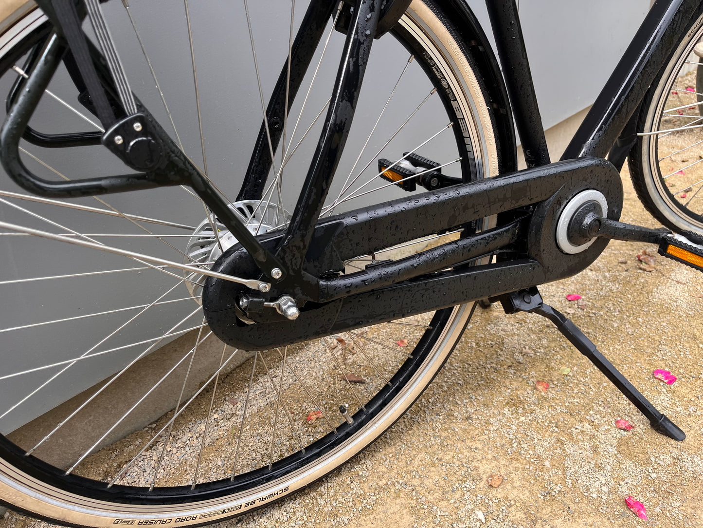 Sparta MoJo 65cm !