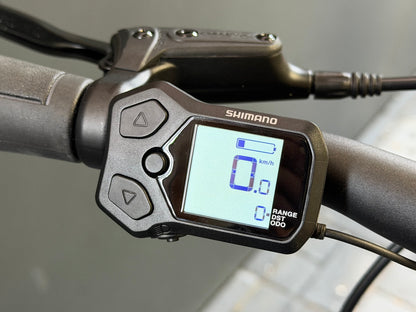 Nieuwe Stella Commuter – Belt Drive, 400W Accu, Nexus 7