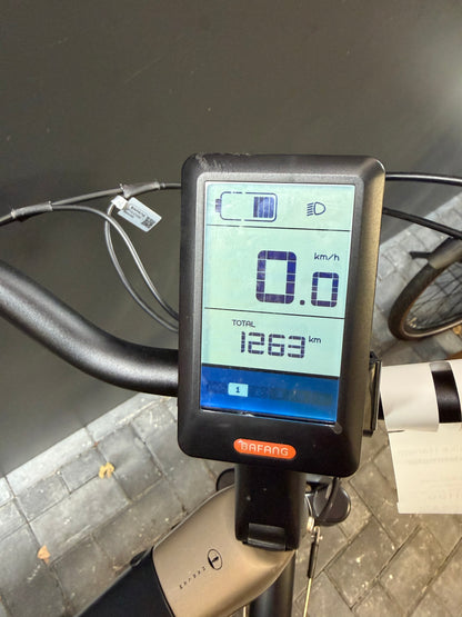 Freebike Harlem met geïntegreerde 630 Wh accu