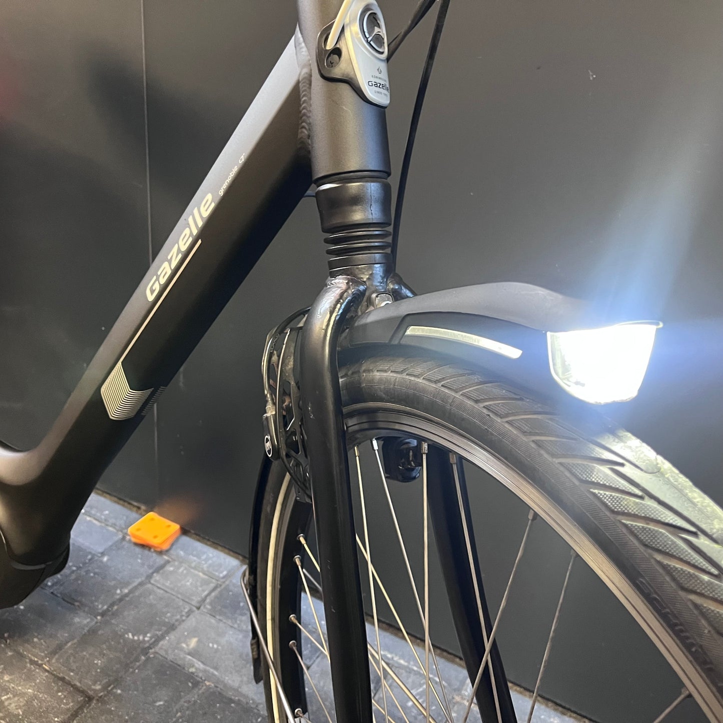 Mooie Gazelle Grenoble C7 Bosch